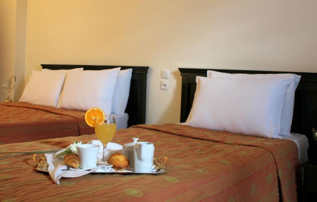 Famissi Eden Hotel Kalambaka Habitación foto