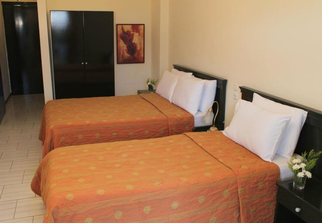 Famissi Eden Hotel Kalambaka Habitación foto